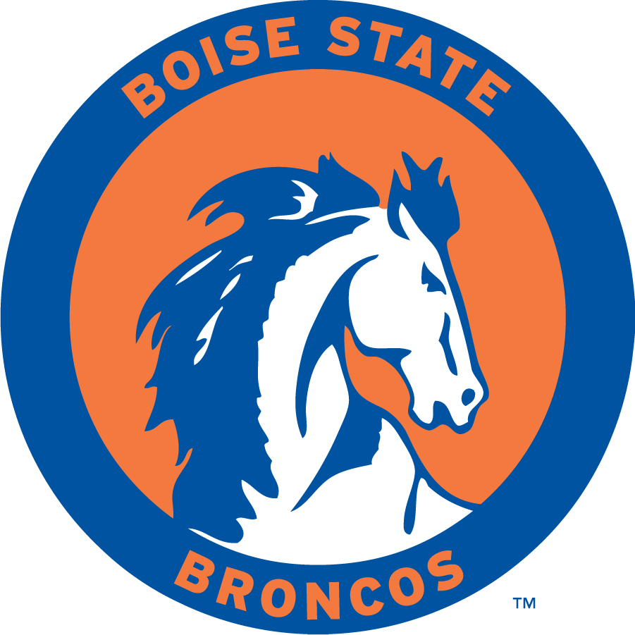 Boise State Broncos 1969-1974 Primary Logo diy iron on heat transfer
